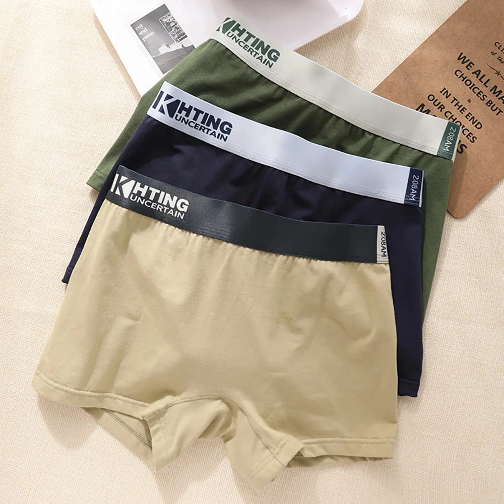 3PCS/Pack 100% Cotton Breathable Antibacterial Women's Panties Comfortable Soft Lingerie High Elastic Waistband Female Underwear