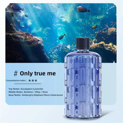 Essential Oil Diffuser  Humidifier - Aromatherapy Air Freshener for Home  Hotel - ZOOMNSTORE