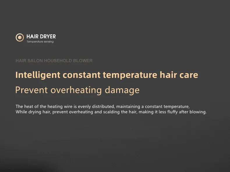 Professional Hair Dryer - Foldable High Power Negative Ion Blu-Ray Electric Blow Dryer