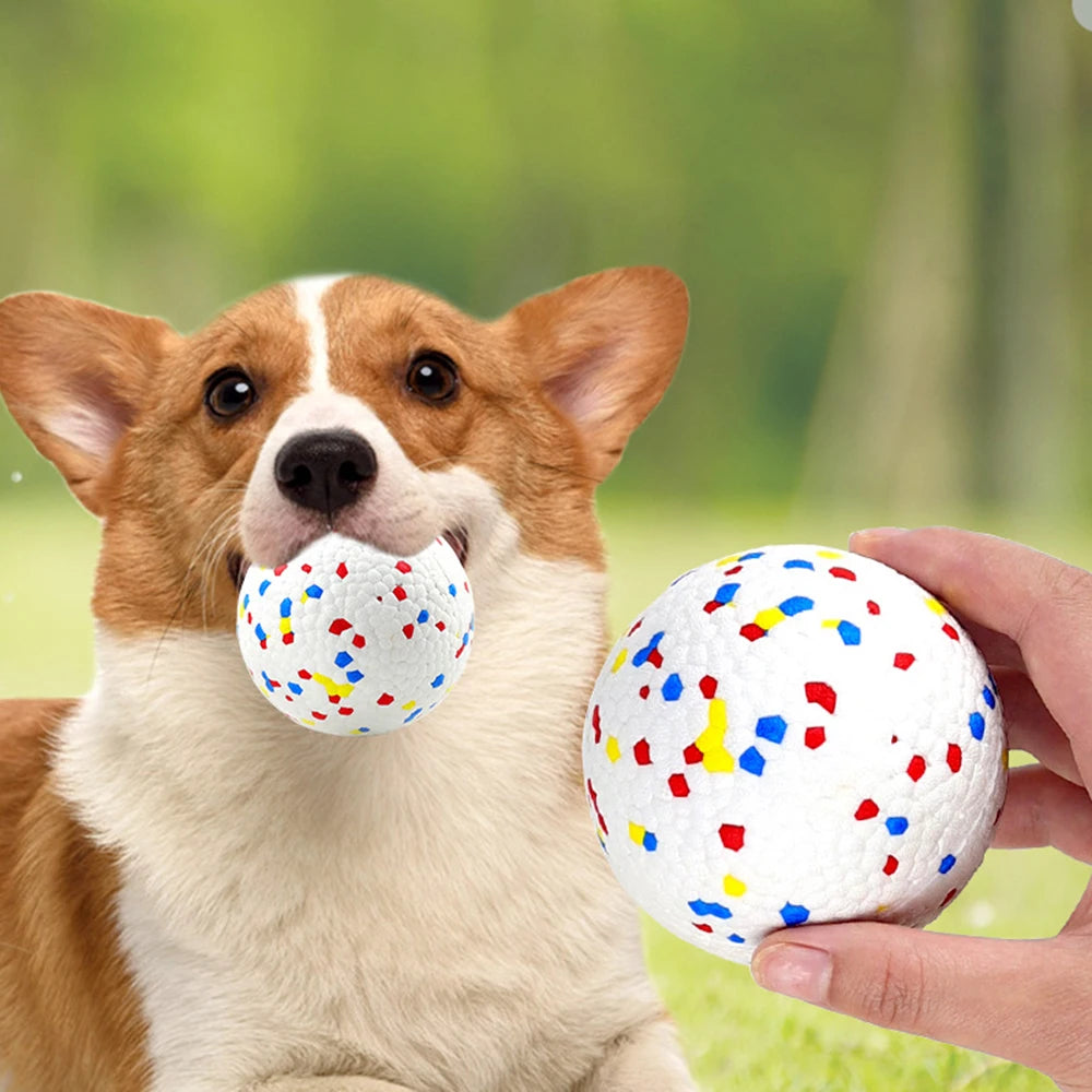Bite Resistant Solid Dog Ball Toys for Small Large Dogs High Elasticity E-TPU Pet Chew Ball Toy Non Squeak Interactive Puppy Toy