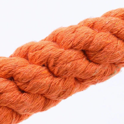 Durable Carrot Dog Chew Rope - Safe Braided Toy for Puppy Teeth Cleaning - ZOOMNSTORE