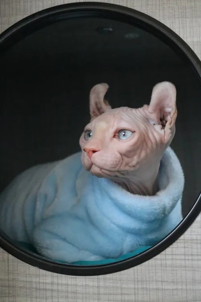 Fashionable Clothes For Cats Sphynx Cat Sweater Kitten Clothing Hound Dog Hoodie Clothes For Sphinx Cat Outfit Pet Jumpsuits