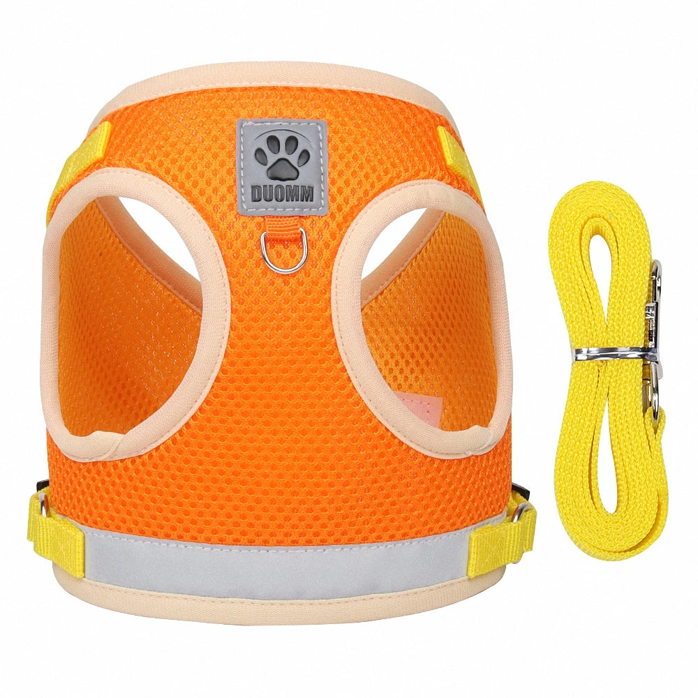 Two-tone Cat Small Dog Harness and Leash Set Breathable Mesh Reflective Escape Proof Puppy Kitten Walking Vest Style Pet Harness