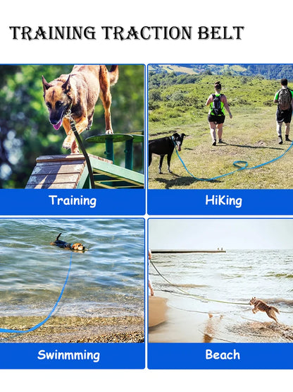 Extra Long Polypropylene Pet Leash Heavy Duty Dog Training Lead Anti Tear Tracking Rope Outdoor Walking Safe Control