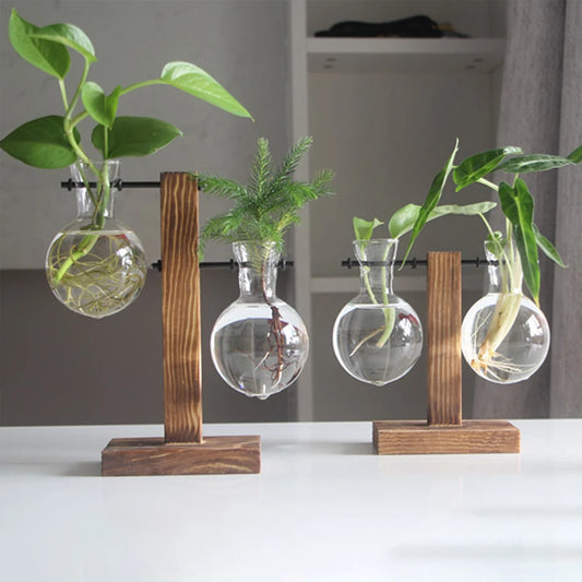 Glass Desktop Planter with Wooden Stand - Hydroponic Bulb Vase for Home Decor