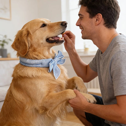 1pc Universal Summer Pet Cooling Ice Scarf,Dog & Cat Neck Collar,Physical Heatstroke Prevention Cool Towel,Outdoor Ice Neck Ring