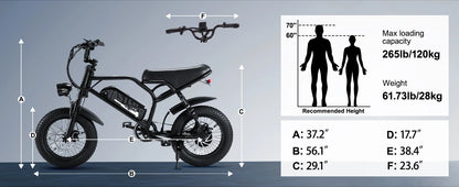 VDL Mountain Electric Bike , 16" Fat Tire Ebike, Wider Seat 250W Peak Motor, Removable Battery, Front Fork Suspension