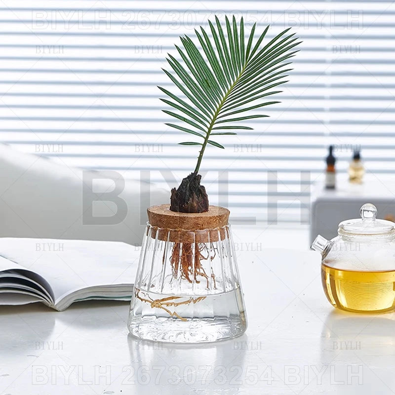 Hydroponic Glass Flower Pots - Transparent Small Vase with Base Tray for Home Decoration