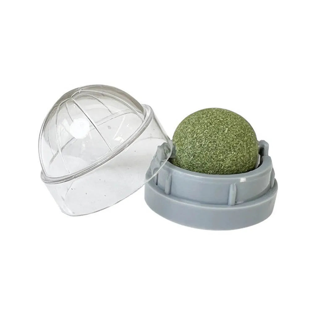 Catnip Wall Ball Toy - Natural Scratchers  Digestion Treats - ZOOMNSTORE