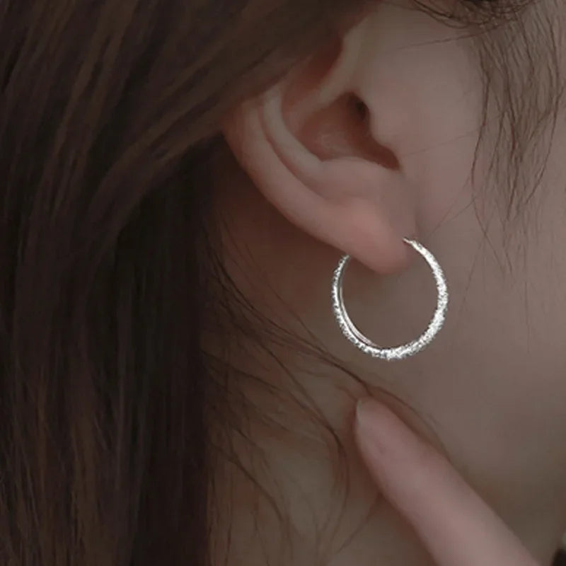 Silver Hoop Earrings – 925 Silver Needle Circle Charm Piercing Jewelry for Women - ZOOMNSTORE