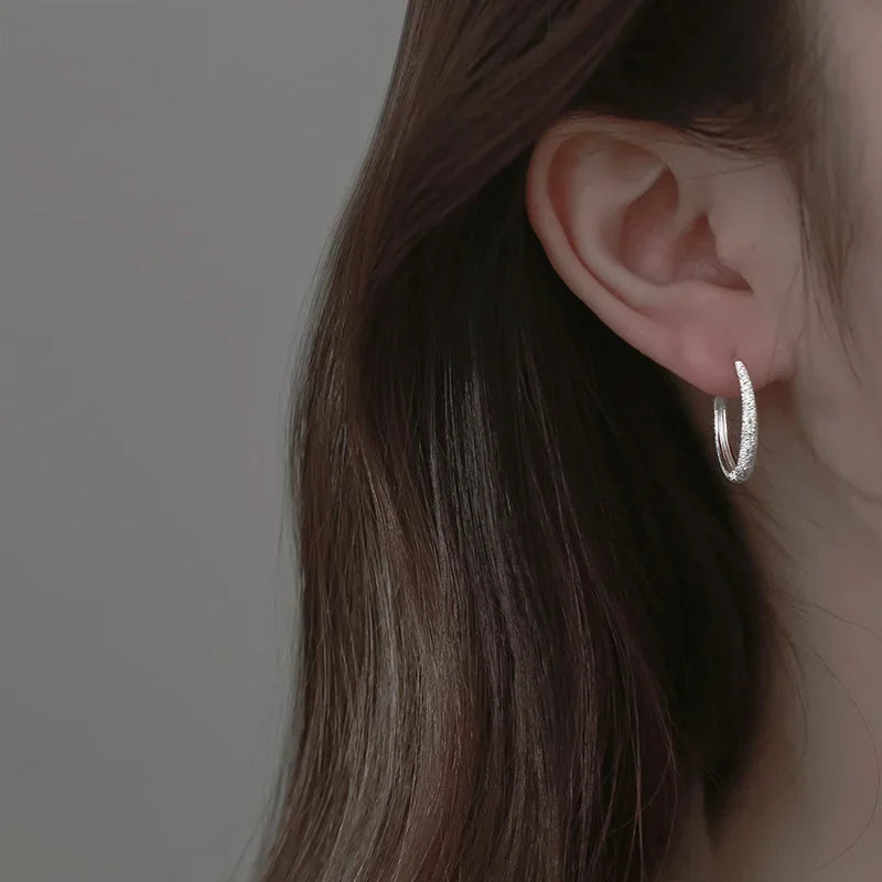 Silver Hoop Earrings – 925 Silver Needle Circle Charm Piercing Jewelry for Women - ZOOMNSTORE