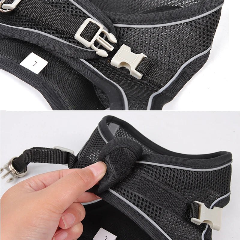 Small Dog Harness and Leash Set - Adjustable Puppy Vest for Bulldogs Chihuahuas and Pugs - ZOOMNSTORE