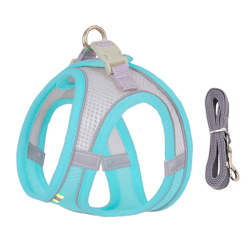 Small Dog Harness and Leash Set - Adjustable Puppy Vest for Bulldogs Chihuahuas and Pugs - ZOOMNSTORE