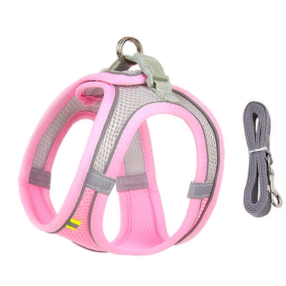Small Dog Harness and Leash Set - Adjustable Puppy Vest for Bulldogs Chihuahuas and Pugs - ZOOMNSTORE