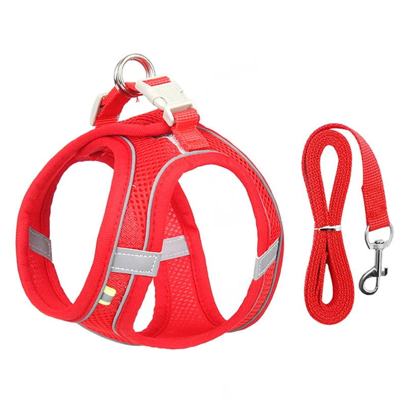 Small Dog Harness and Leash Set - Adjustable Puppy Vest for Bulldogs Chihuahuas and Pugs - ZOOMNSTORE