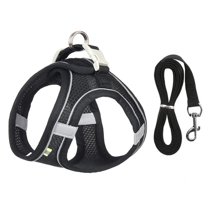 Small Dog Harness and Leash Set - Adjustable Puppy Vest for Bulldogs Chihuahuas and Pugs - ZOOMNSTORE