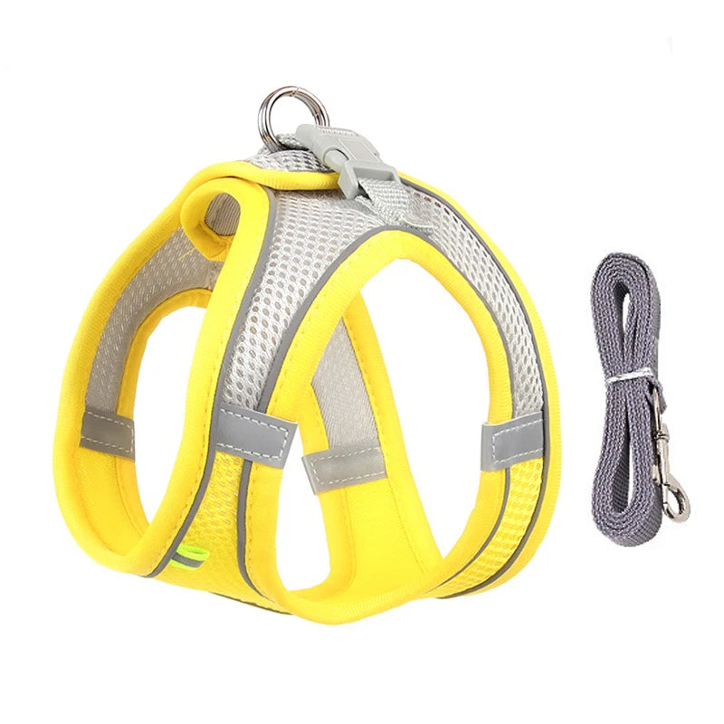 Small Dog Harness and Leash Set - Adjustable Puppy Vest for Bulldogs Chihuahuas and Pugs - ZOOMNSTORE