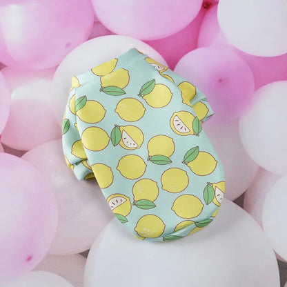 Chihuahua Dog Hoodie - Warm Pullover for Small Dogs  Cats - ZOOMNSTORE