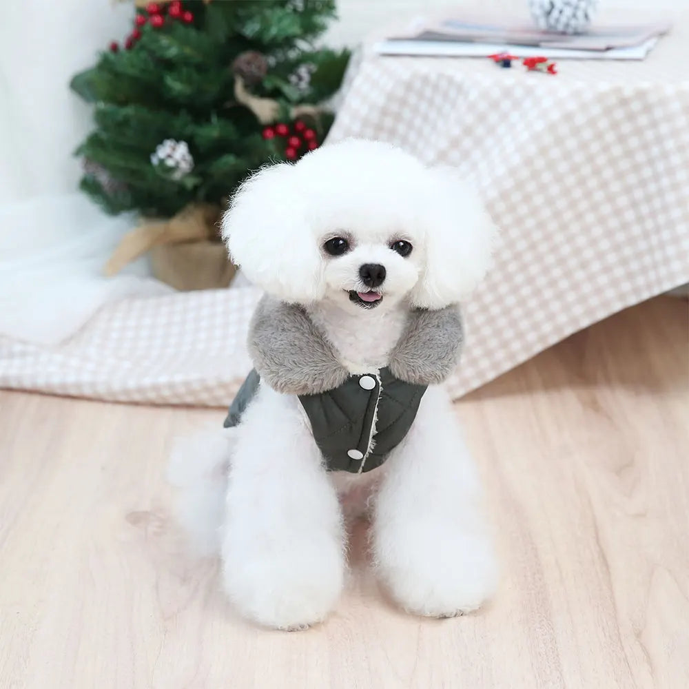 Small Dog Winter Coat – Warm Puppy Coat Thick Cotton Pet Jacket for Chihuahua - ZOOMNSTORE
