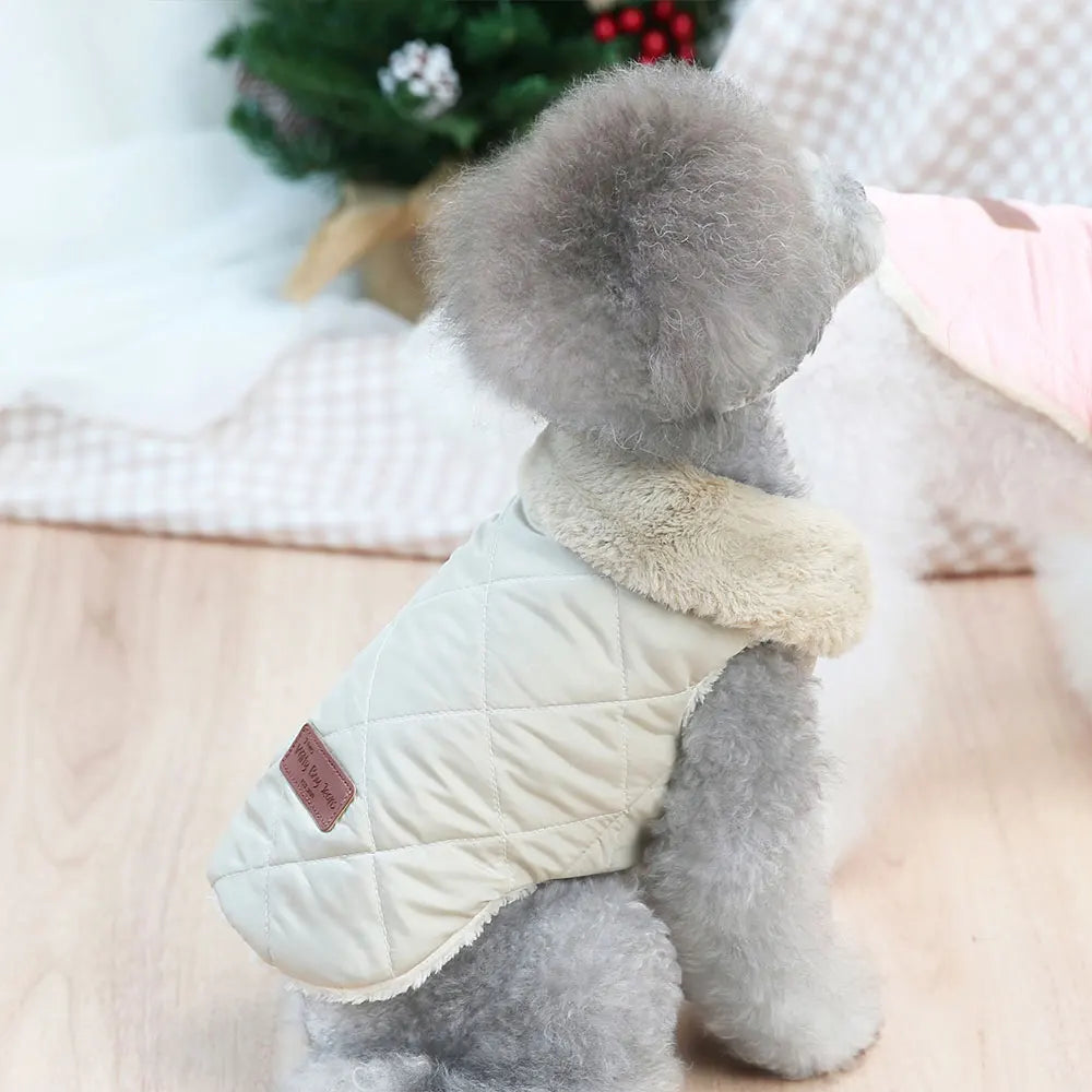 ZOOMNSTORE