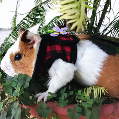 Small Pet Chest Strap Leash - Denim Corset for Chinchillas  Guinea Pigs - ZOOMNSTORE