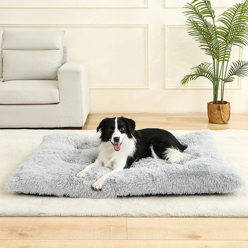 Soft Dog Bed - Long Plush Pet Cushion Sofa | Machine Washable Cotton Mattress - ZOOMNSTORE