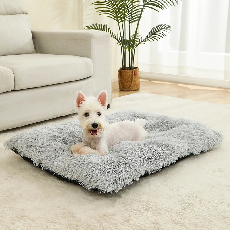Soft Dog Bed - Long Plush Pet Cushion Sofa | Machine Washable Cotton Mattress - ZOOMNSTORE