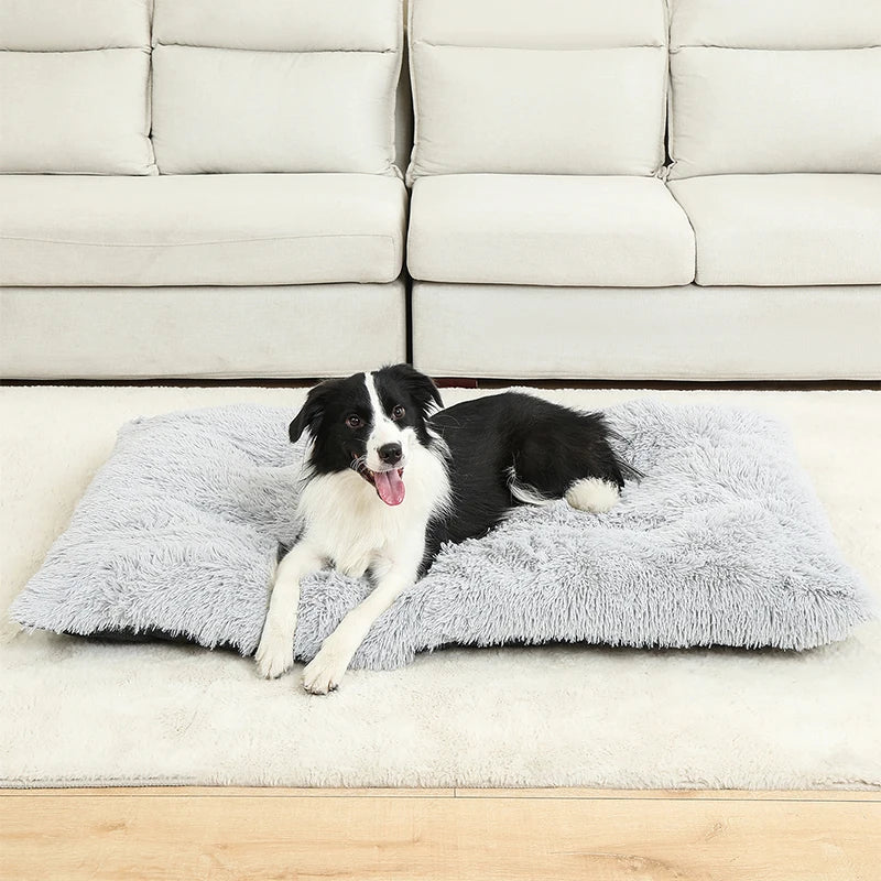Soft Dog Bed - Long Plush Pet Cushion Sofa | Machine Washable Cotton Mattress - ZOOMNSTORE