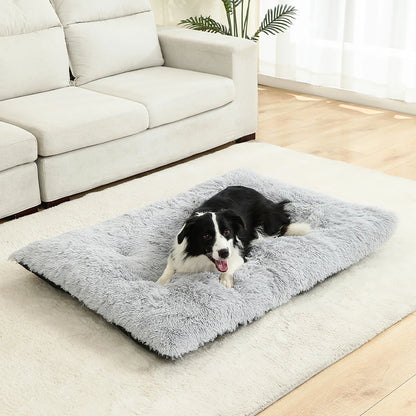 Soft Dog Bed - Long Plush Pet Cushion Sofa | Machine Washable Cotton Mattress - ZOOMNSTORE
