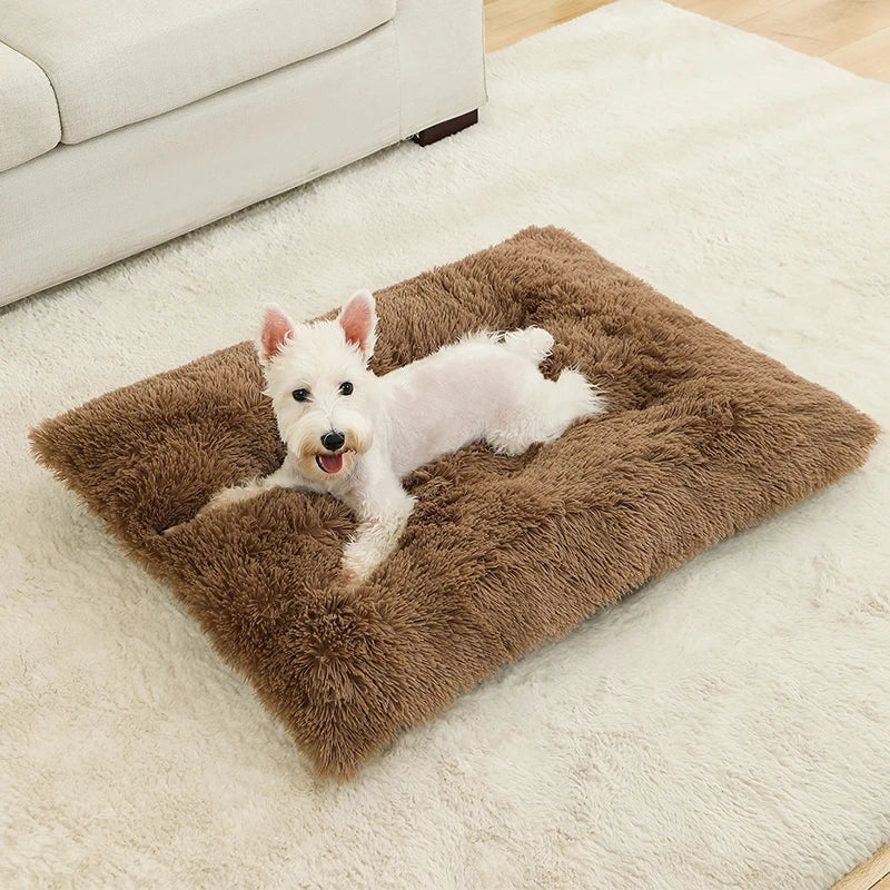 Soft Dog Bed - Long Plush Pet Cushion Sofa | Machine Washable Cotton Mattress - ZOOMNSTORE