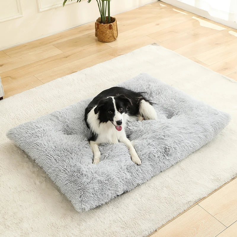 Soft Dog Bed - Long Plush Pet Cushion Sofa | Machine Washable Cotton Mattress - ZOOMNSTORE