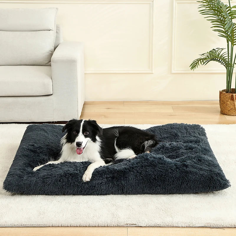 Soft Dog Bed - Long Plush Pet Cushion Sofa | Machine Washable Cotton Mattress - ZOOMNSTORE