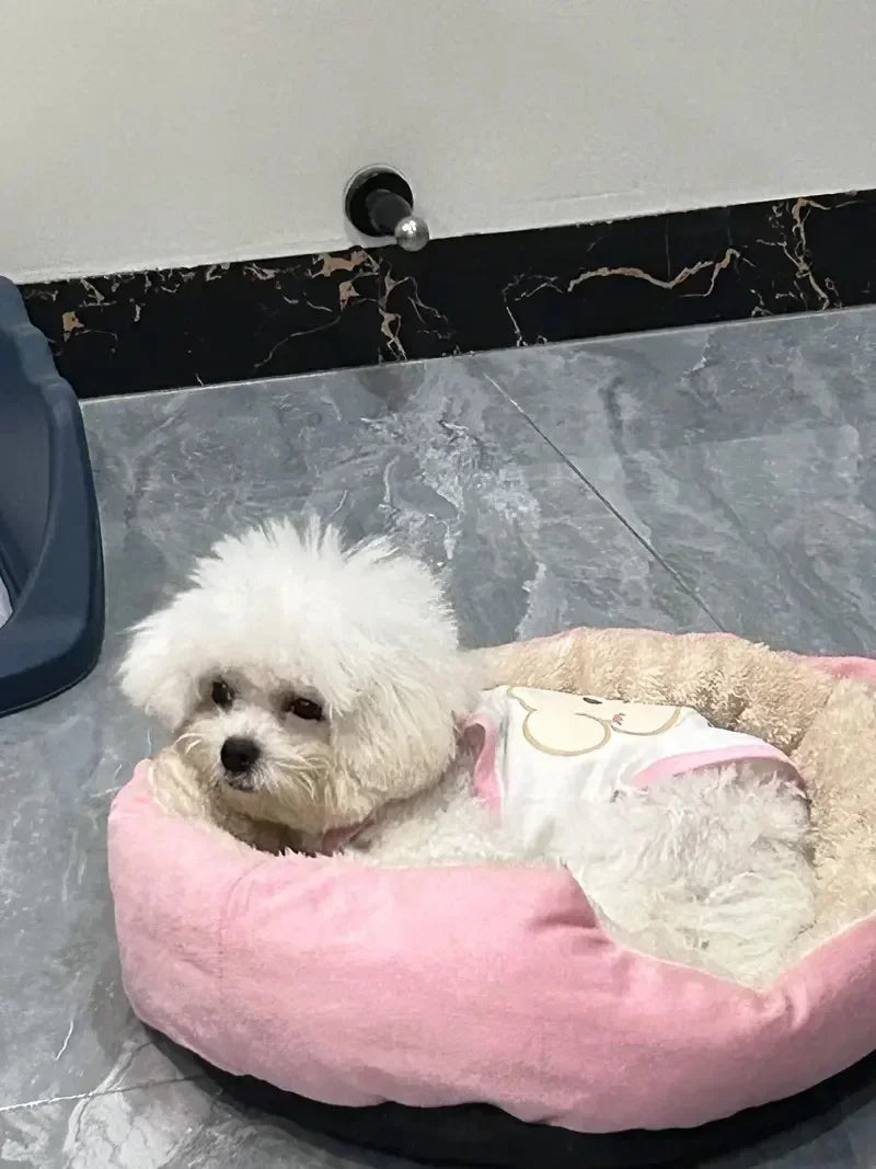 Soft Warm Dog Bed - Medium Large Cotton Dog Sofa with Plush Pet Cushion - ZOOMNSTORE