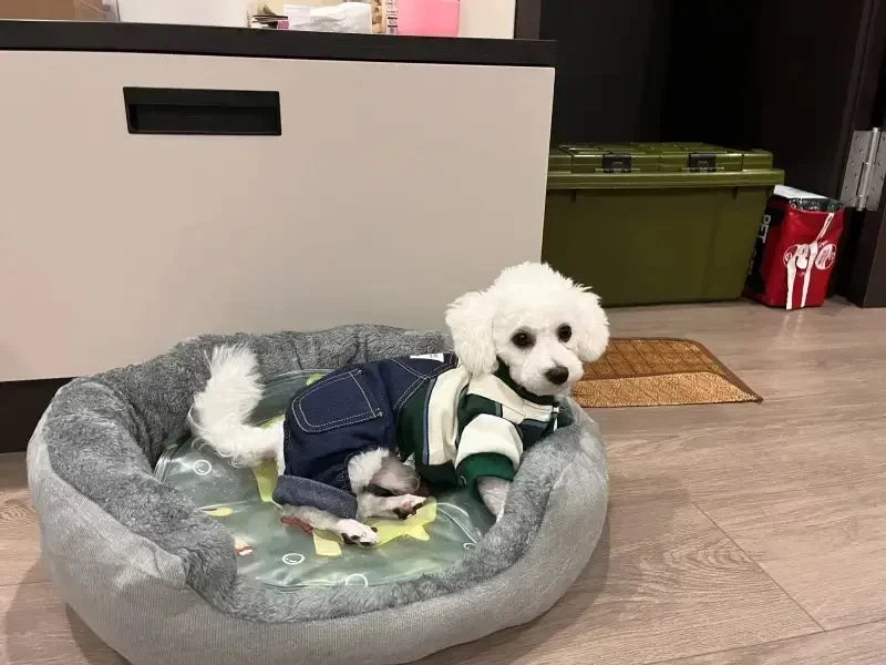 Soft Warm Dog Bed - Medium Large Cotton Dog Sofa with Plush Pet Cushion - ZOOMNSTORE