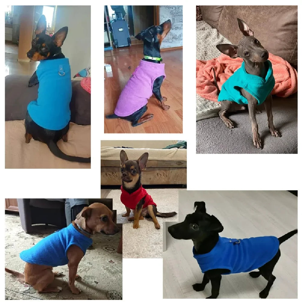 Soft Wool Pet Jacket - Warm Coat for Dogs  Cats Ideal for Winter  Spring - ZOOMNSTORE