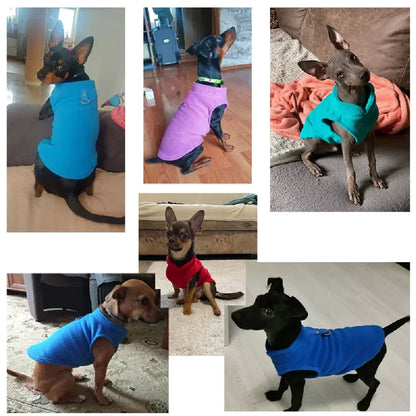 Soft Wool Pet Jacket - Warm Coat for Dogs  Cats Ideal for Winter  Spring - ZOOMNSTORE