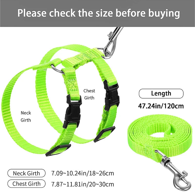 Sphynx Cat Harness and Leash Set - Convenient Outdoor Pet Accessories - ZOOMNSTORE