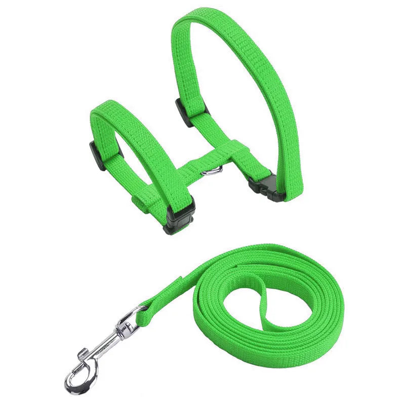Sphynx Cat Harness and Leash Set - Convenient Outdoor Pet Accessories - ZOOMNSTORE
