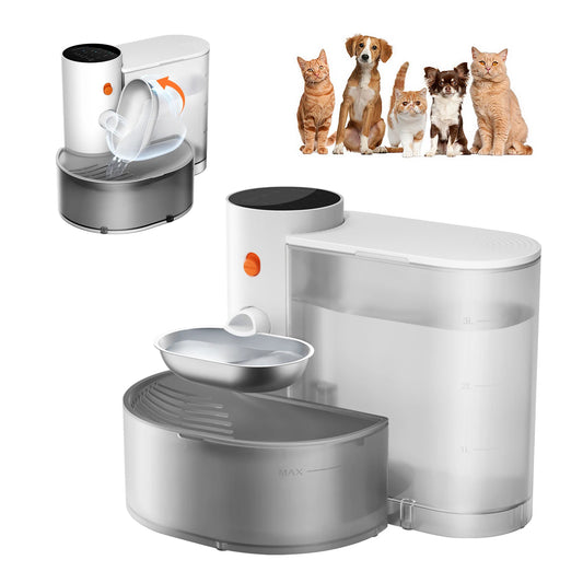 Automatic Stainless Steel Pet Water Dispenser - Purifying Bowl for Cats - ZOOMNSTORE