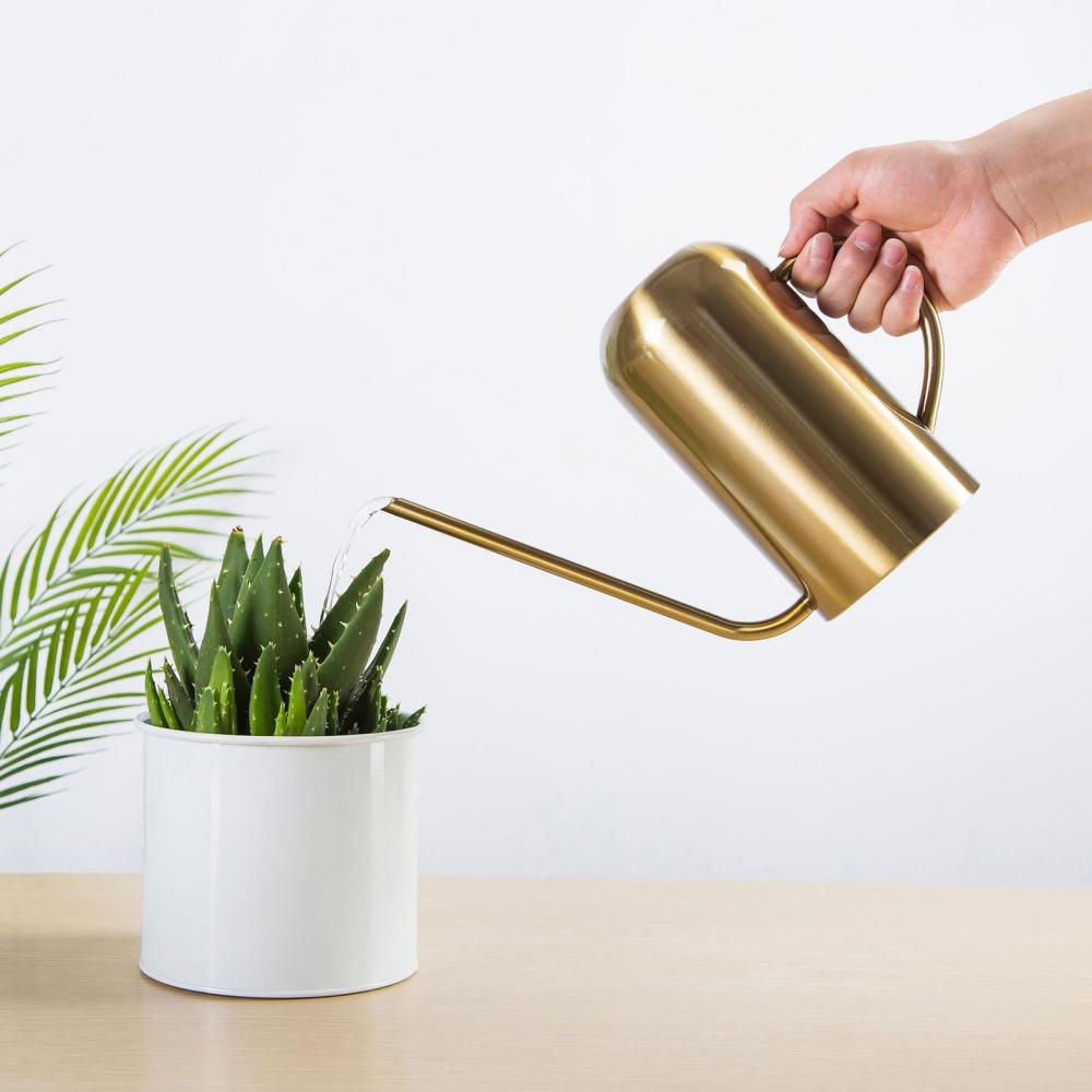 Stainless Steel Watering Can - 1500ml Long Spout Durable Garden Water Can - ZOOMNSTORE