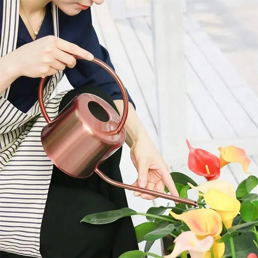 Stainless Steel Watering Can - Large Capacity Plant Watering Pot with Long Spout - ZOOMNSTORE