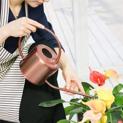 Stainless Steel Watering Can - Large Capacity Plant Watering Pot with Long Spout - ZOOMNSTORE