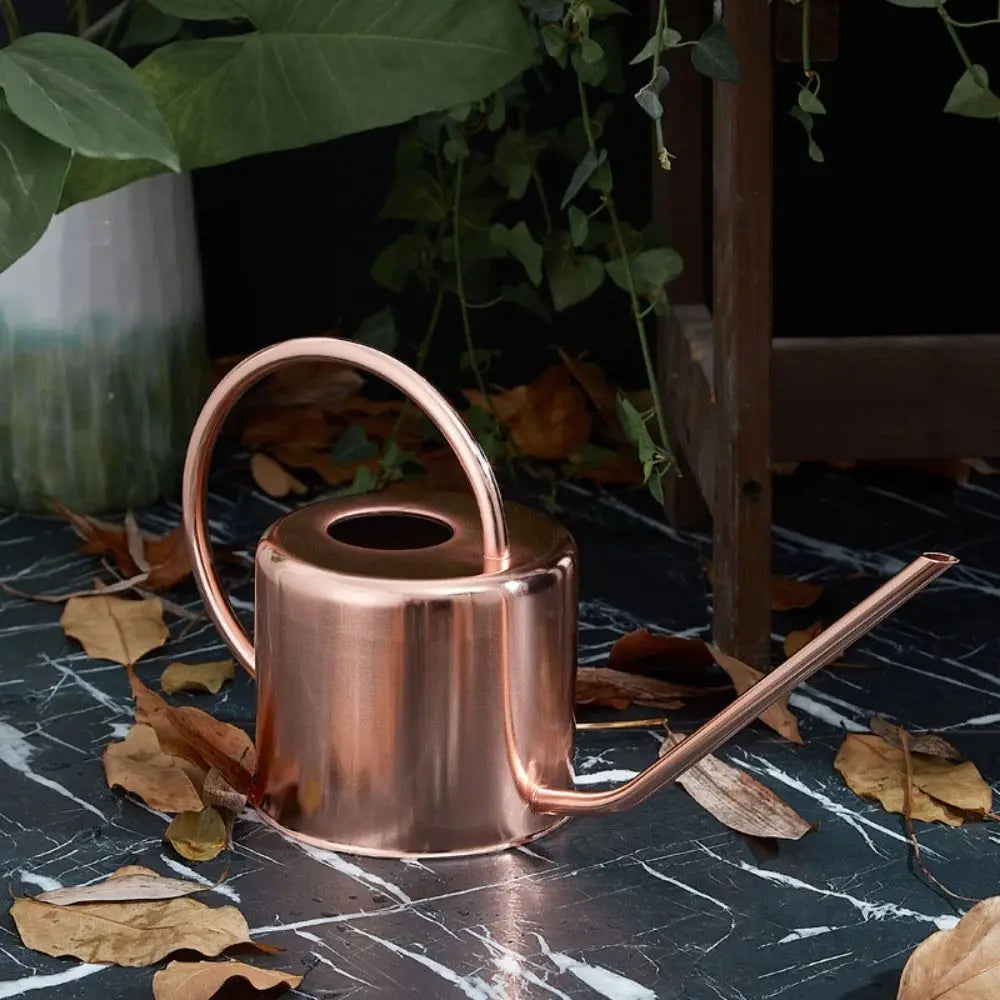 Stainless Steel Watering Can - Large Capacity Plant Watering Pot with Long Spout - ZOOMNSTORE