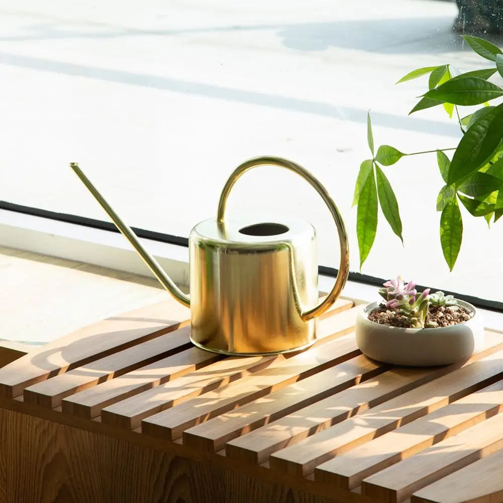 Stainless Steel Watering Can - Large Capacity Plant Watering Pot with Long Spout - ZOOMNSTORE