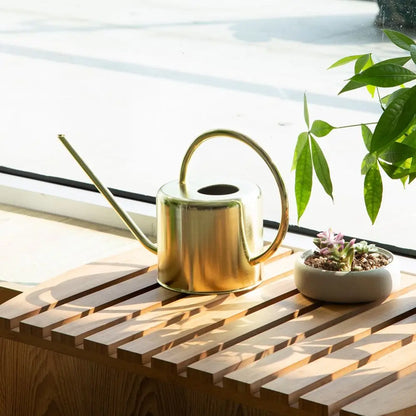 Stainless Steel Watering Can - Large Capacity Plant Watering Pot with Long Spout - ZOOMNSTORE