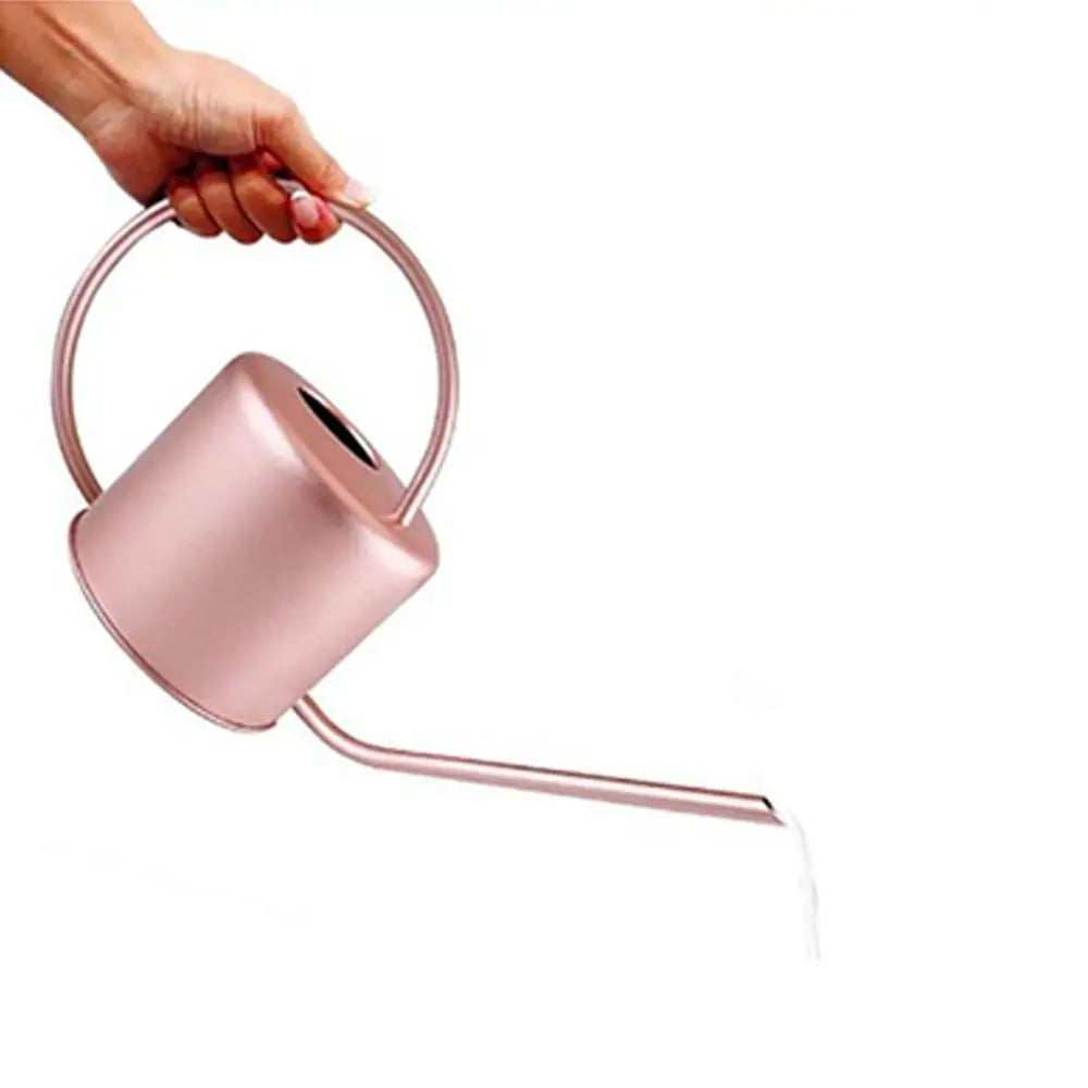 Stainless Steel Watering Can - Large Capacity Plant Watering Pot with Long Spout - ZOOMNSTORE