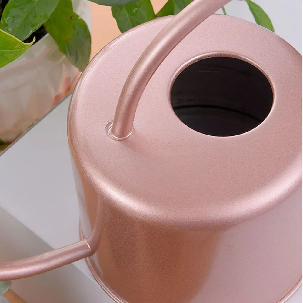 Stainless Steel Watering Can - Large Capacity Plant Watering Pot with Long Spout - ZOOMNSTORE