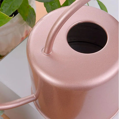 Stainless Steel Watering Can - Large Capacity Plant Watering Pot with Long Spout - ZOOMNSTORE