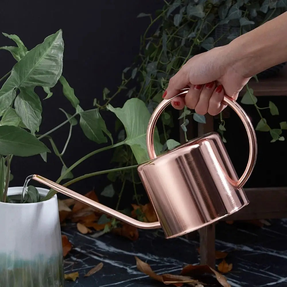 Stainless Steel Watering Can - Large Capacity Plant Watering Pot with Long Spout - ZOOMNSTORE