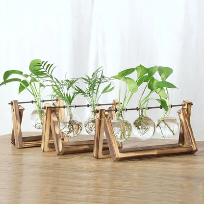Wooden Frame Hydroponic Terrarium Planter - Glass Vases for Tabletop Decoration - ZOOMNSTORE